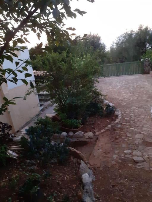 A Modern With Big Garden Holiday home