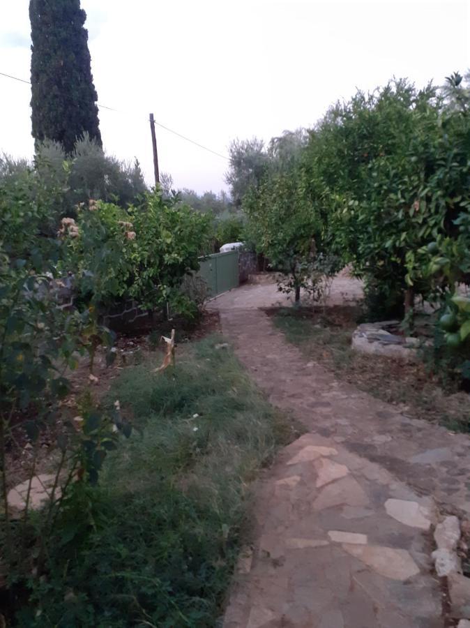 A Modern With Big Garden Trápeza