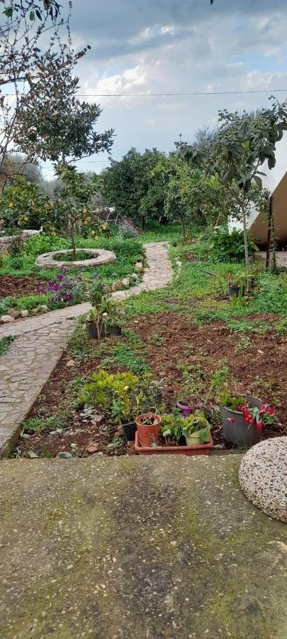 Holiday home A Modern With Big Garden Trapeza (Peloponnese)