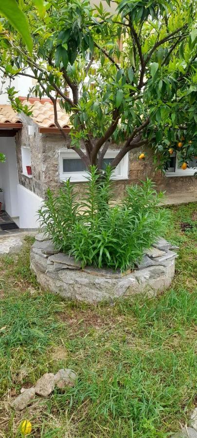Holiday home A Modern With Big Garden