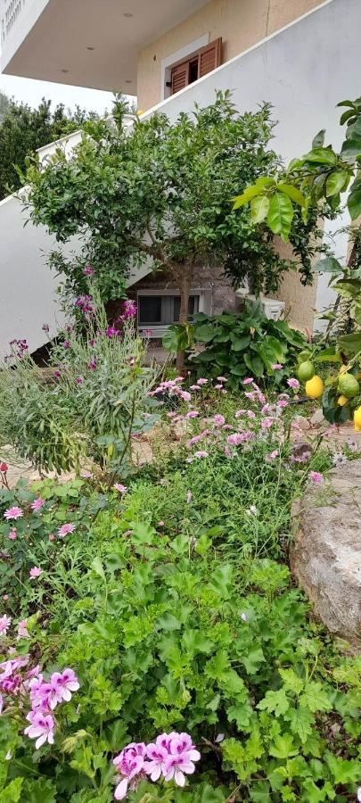 Сasa de vacaciones A Modern With Big Garden *