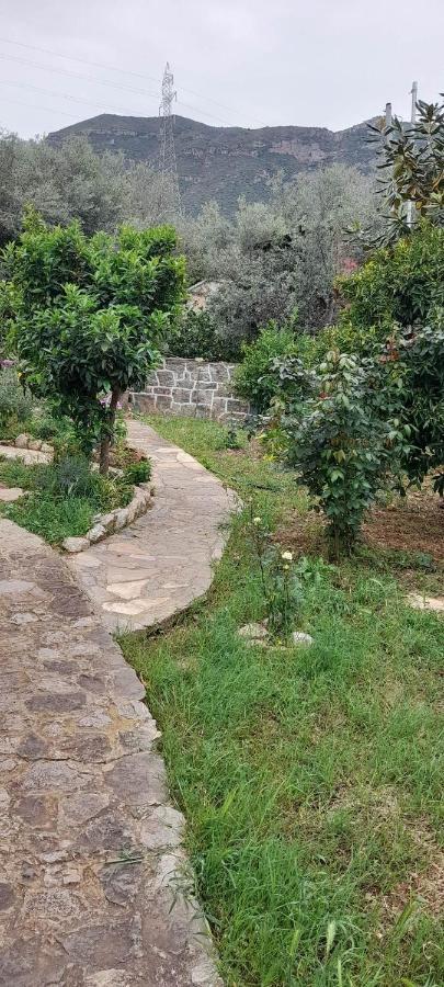 Сasa de vacaciones A Modern With Big Garden *